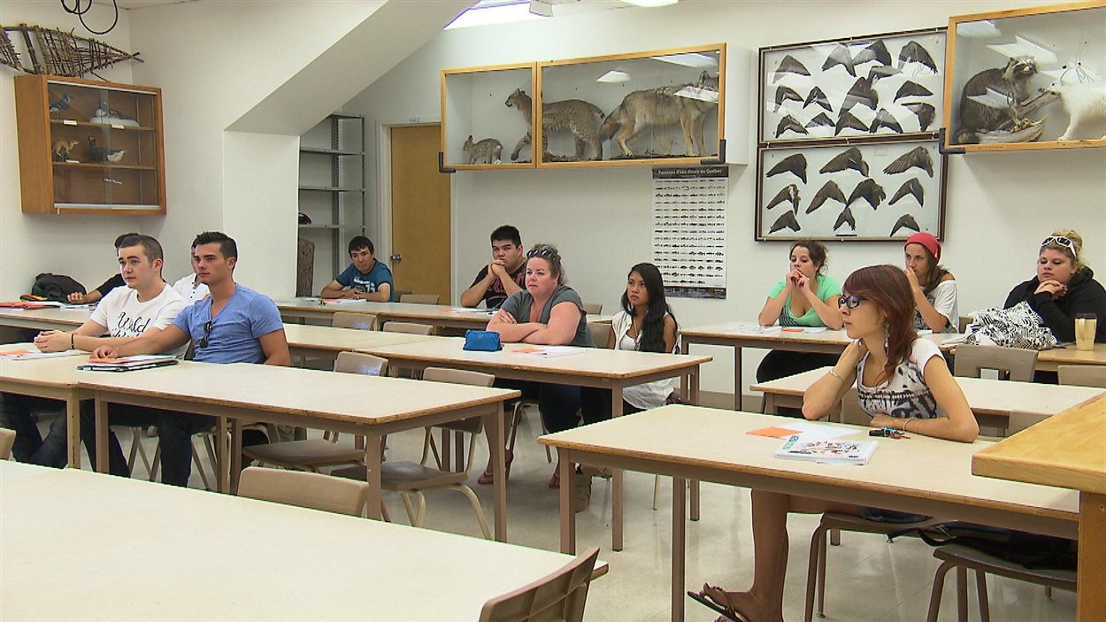 Des étudiants du programme de technologie forestière