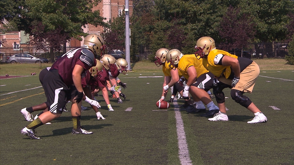 Les Stingers de Concordia
