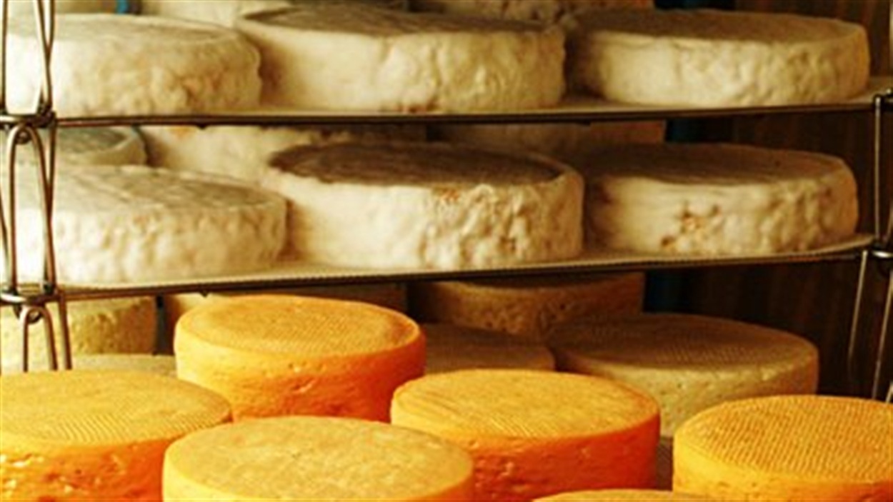 Une crise dans l’industrie du fromage?