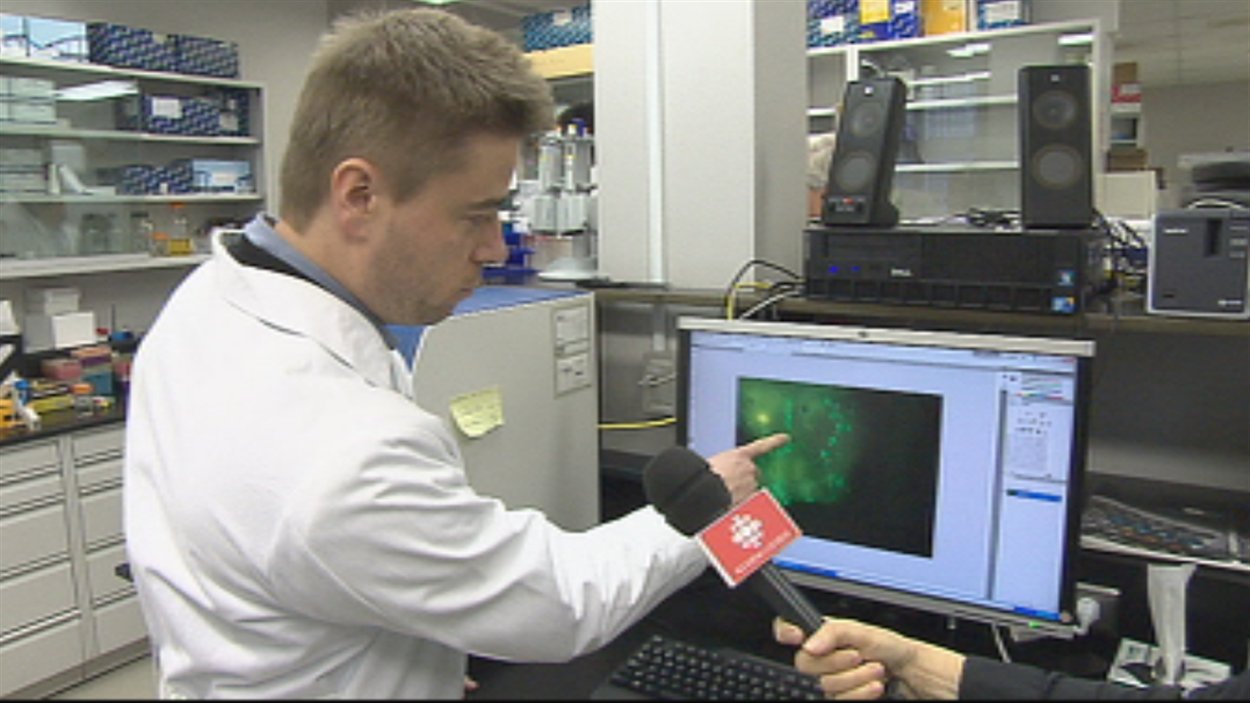 Une équipe de chercheurs du CHU de Québec tente de mettre au point un vaccin contre le cancer