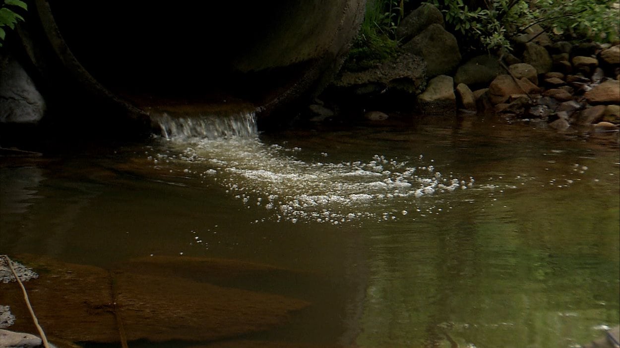 Egouts