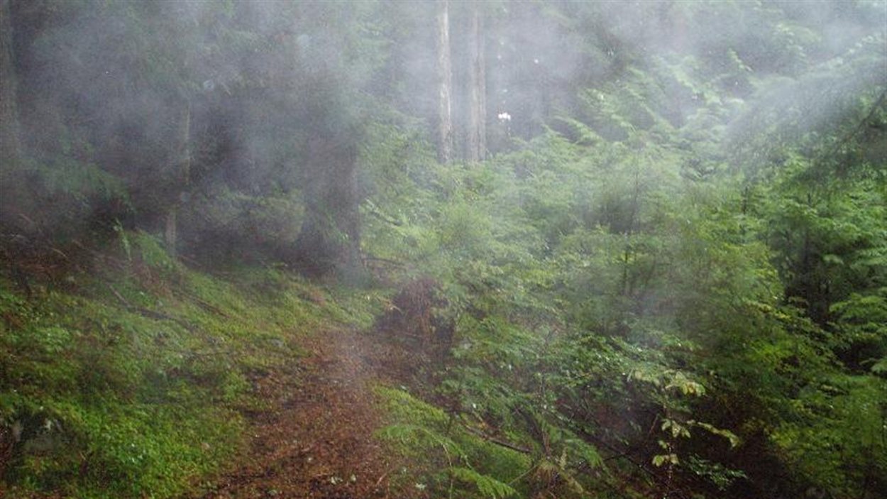 La piste BCMC de la montagne Grouse à North Vancouver.