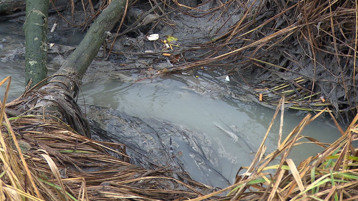 Eaux usées à Cap-Chat
