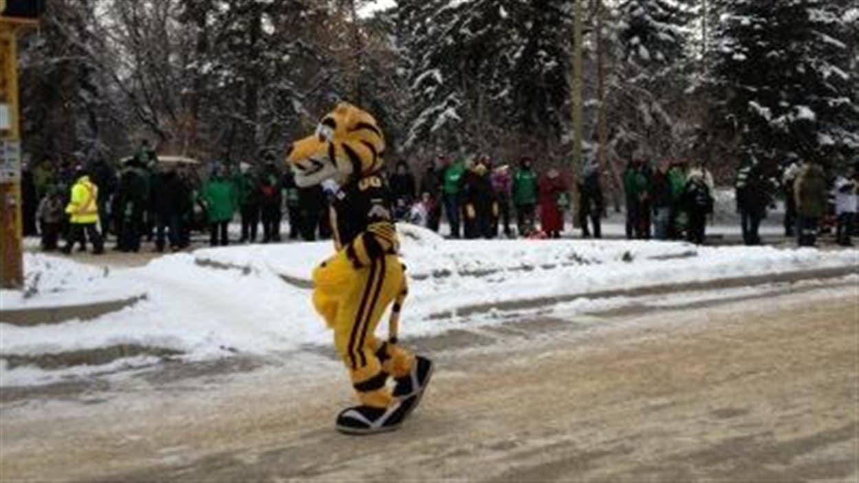 La mascotte des Tiger-Cats a pris part au défilé de la Coupe Grey samedi.