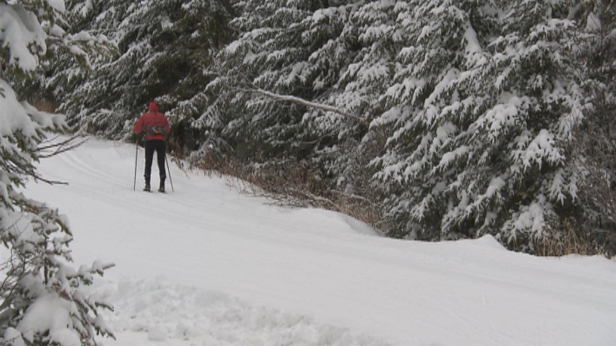 Un skieur de la Forêt Montmorency