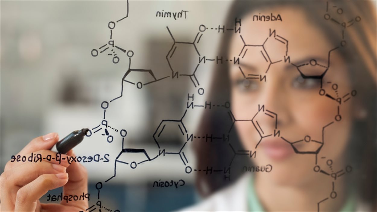Une femme et des formules physiques