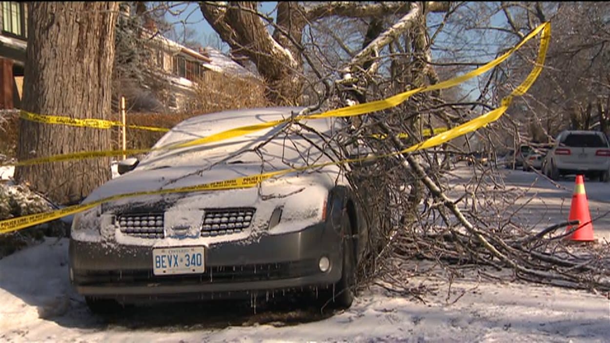 La tempête de verglas qui a frappé Toronto a causé la chute de plusieurs branches.