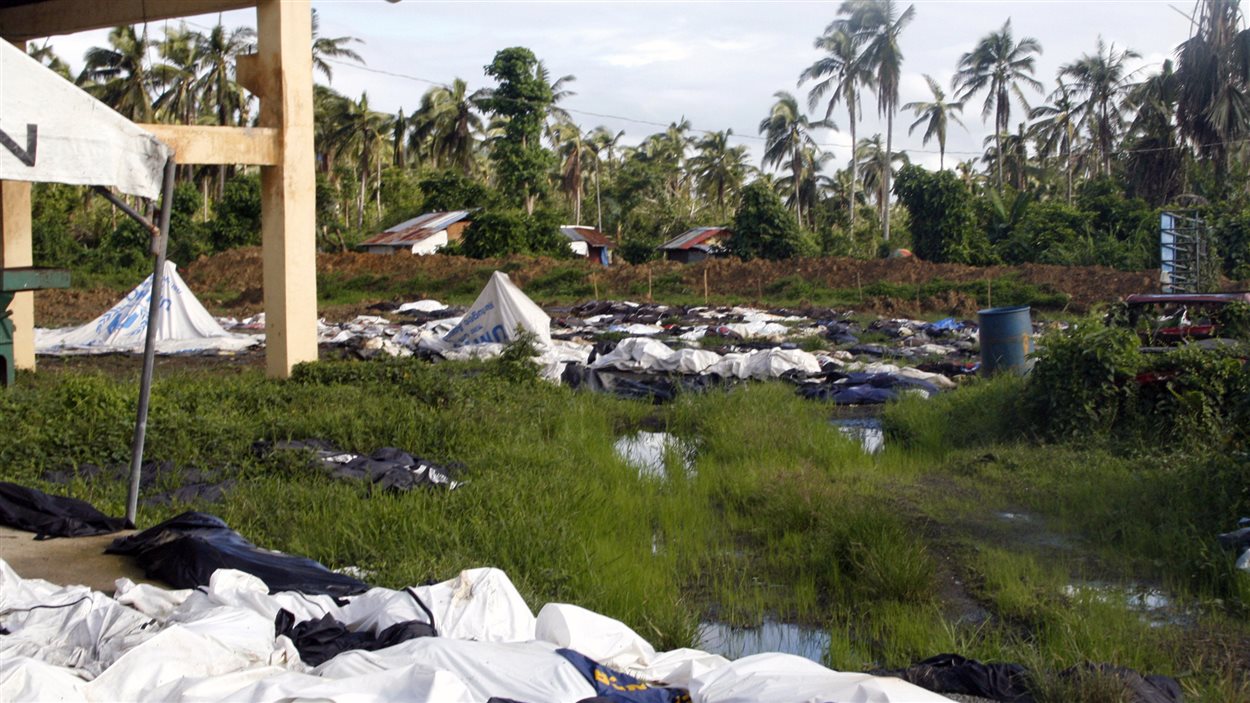 Des sacs mortuaires contenant les restes des victimes du typhon dans les locaux d'un Centre de santé aux Philippines le le 28 décembre 2013.