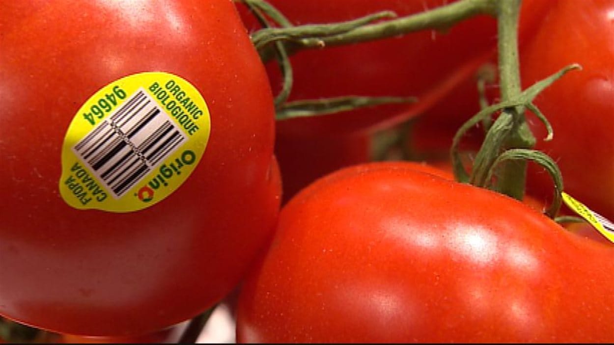 Des tomates biologiques