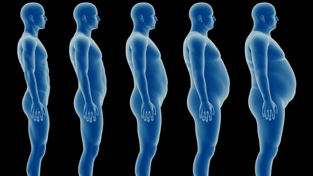 Three times more obese Canadians than in 1985, reveals ...