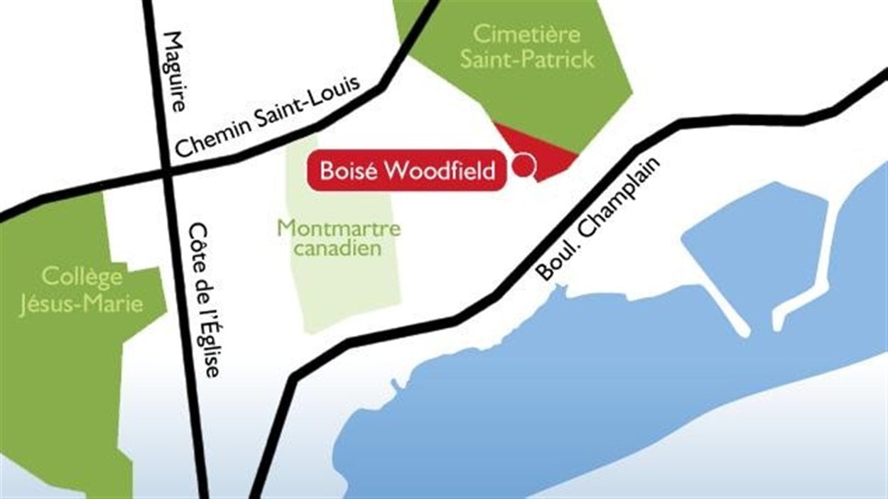 Carte indiquant l'endroit où se situe le boisé Woodfield