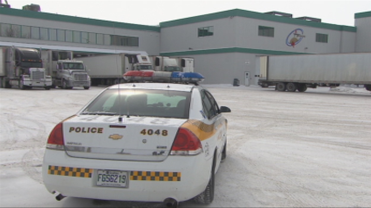 Perquisition dans un abattoir de Yamachiche RadioCanada