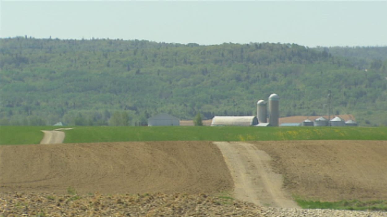 Terre agricole