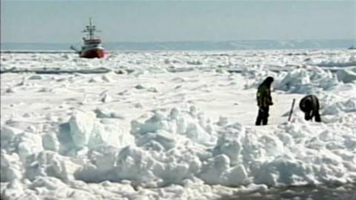 Des chasseurs sur la banquise dans la Golfe Saint-Laurent
