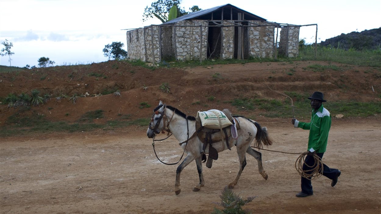 Sécheresse en Haïti