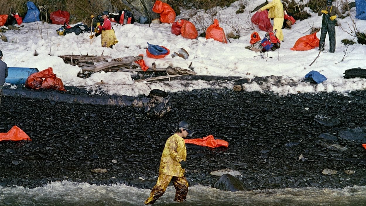 Des équipes nettoient les berges polluées par le déversement de pétrole.