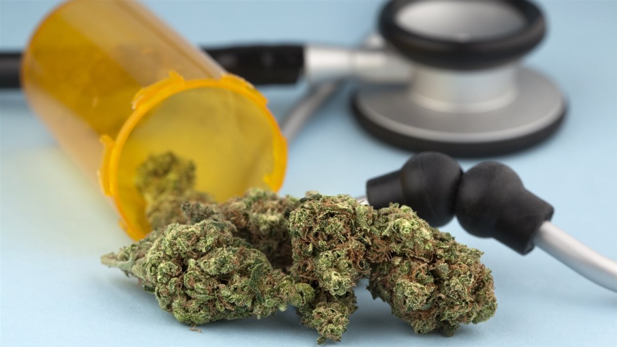 Le 1er avril 2014, le Collège des médecins diffusera des directives pour encadrer la prescription de marijuana à des fins thérapeutiques.