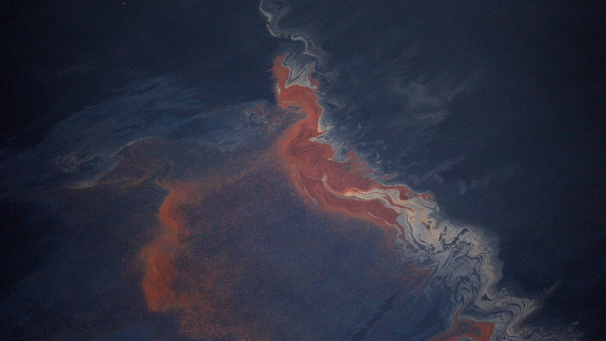 Du pétrole flotte à la surface des eaux du golfe du Mexique après l'explosion de la plateforme Deepwater Horizon.