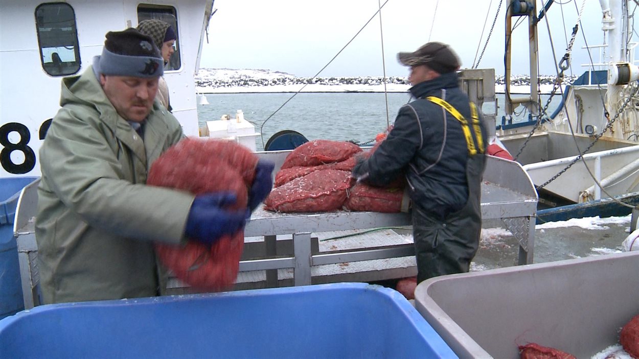 Des pêcheurs de crevettes