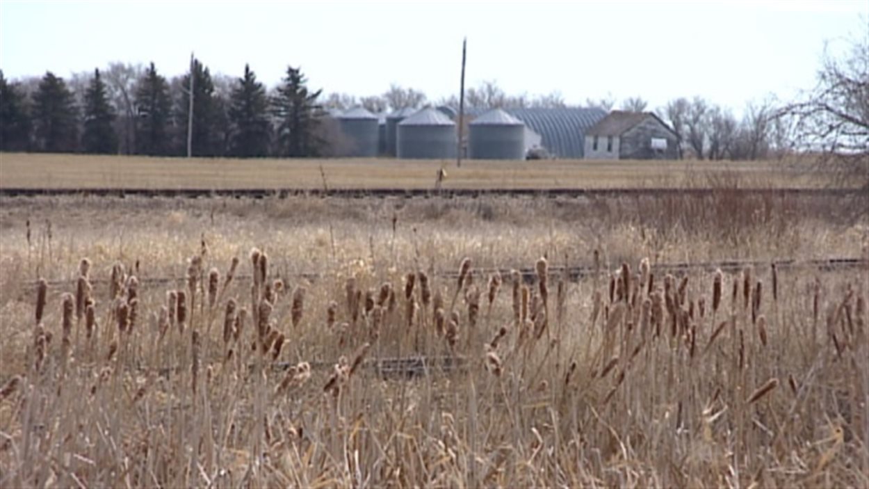 Une terre agricole en Saskatchewan (archives)