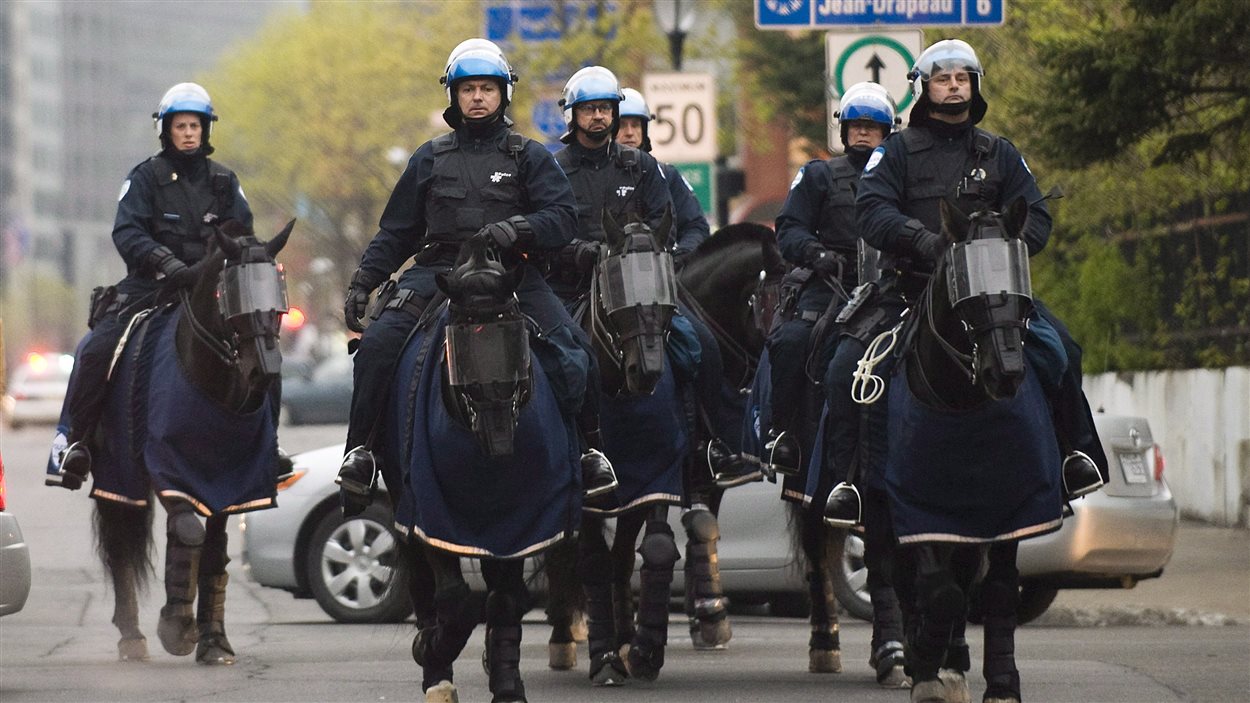 Un Cheval Du Spvm Part En Cavale Radio Canada Ca