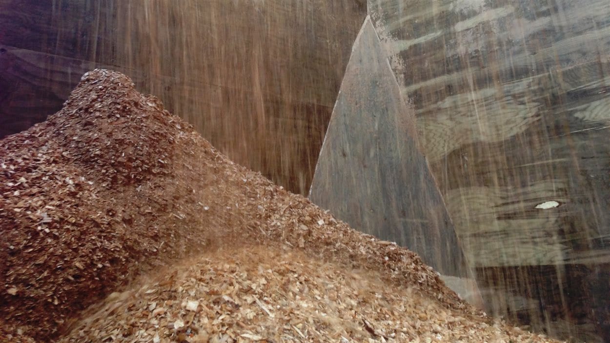 Des copeaux de bois
