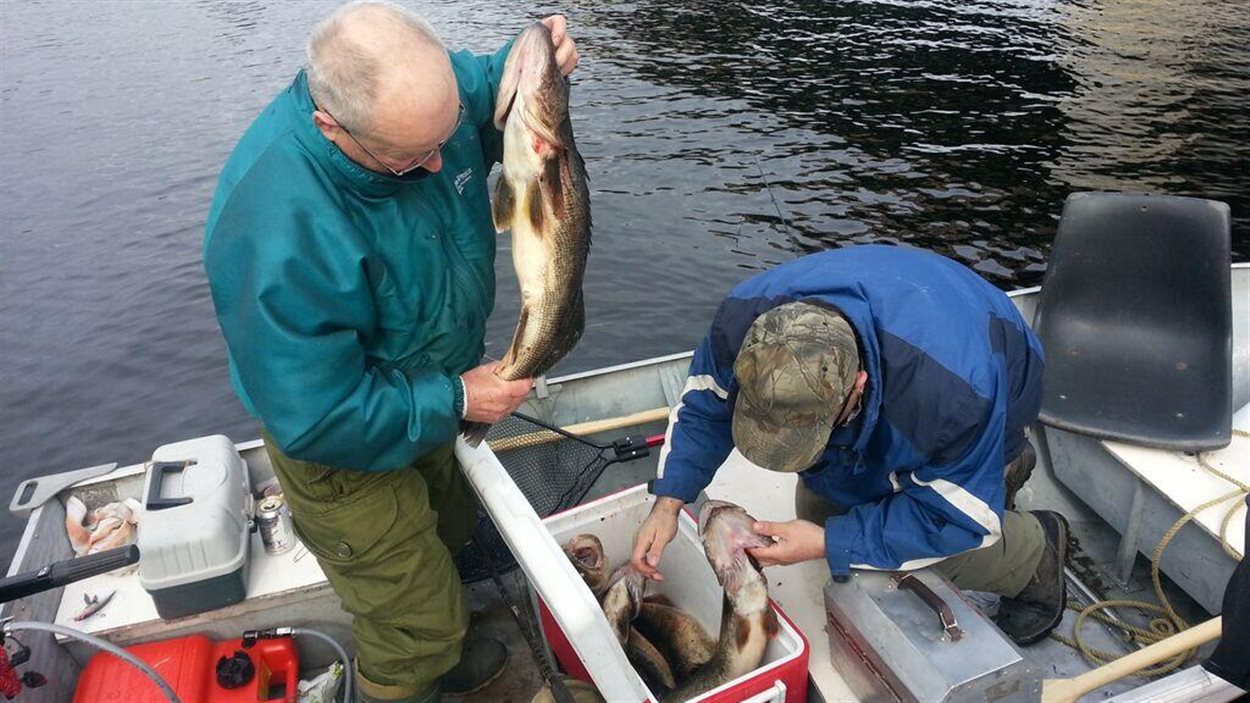 Certains pêcheurs ont fait de belles prises