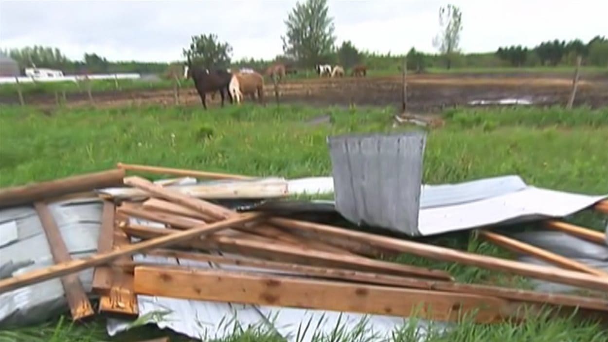 Un Cheval Soulevé Par Une Tornade à Roxton Falls | Radio-Canada