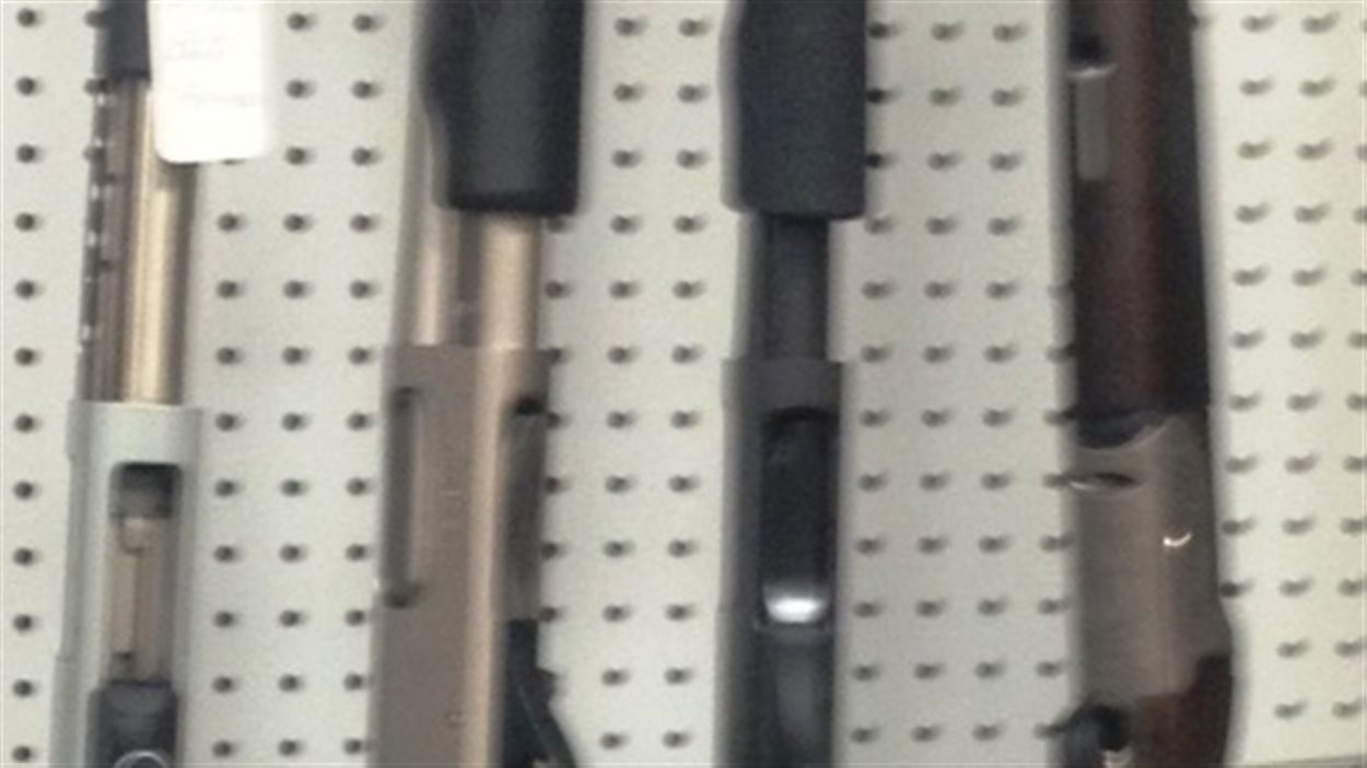 Des fusils de chasse semblables à une des deux armes du suspect