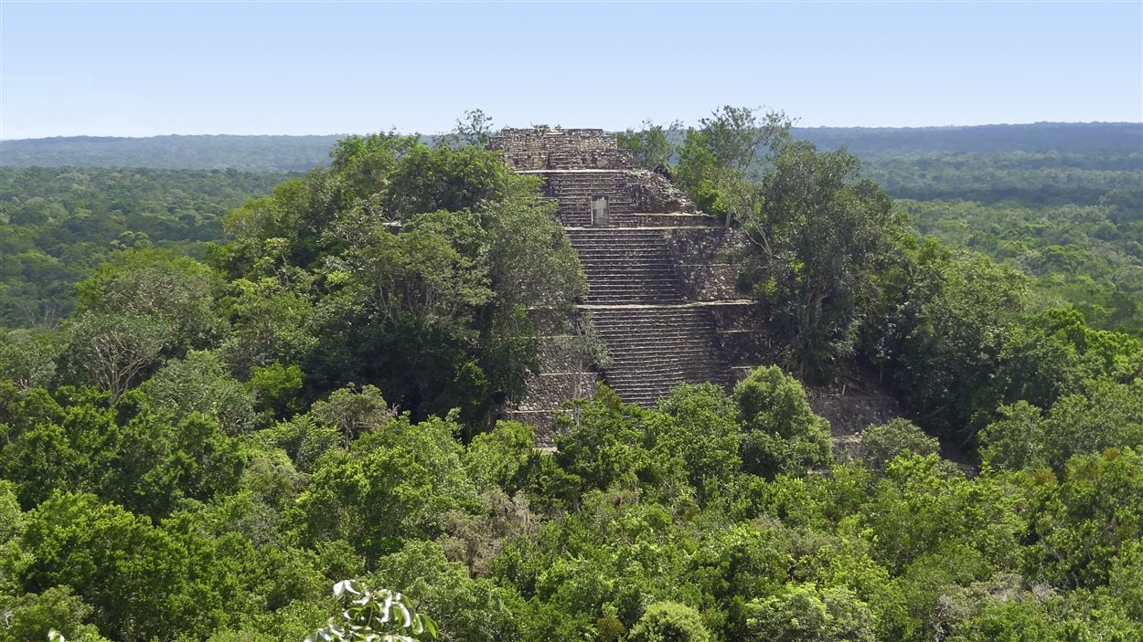 Ancienne cité maya de Calakmul au Mexique