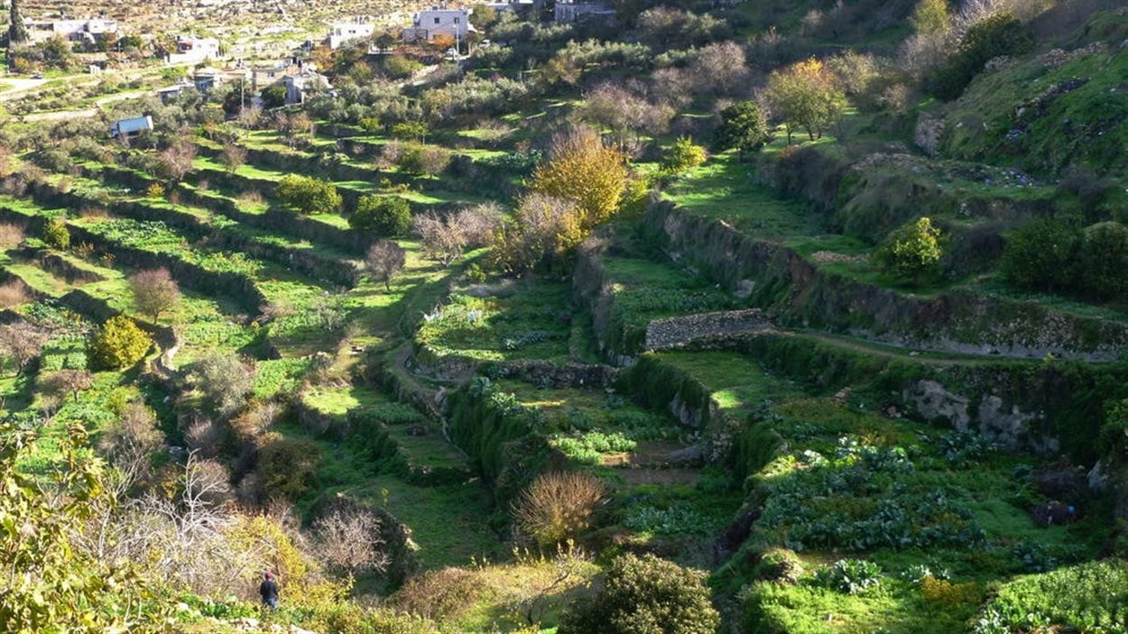 Paysage culturel du sud de Jérusalem, Battir, inscrit sur la Liste du patrimoine mondial et la Liste du patrimoine mondial en péril