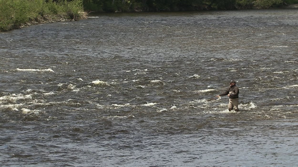 Un pêcheur dans la rivière York