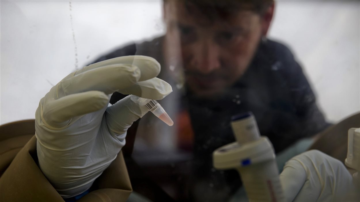 Un chercheur du Laboratoire européen mobile à Gueckédou, en Guinée, fait des tests pour vérifier la présence du virus Ebola.