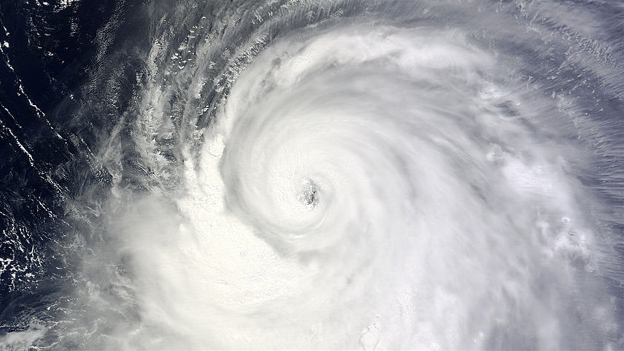Image satellite du typhon Neoguri.