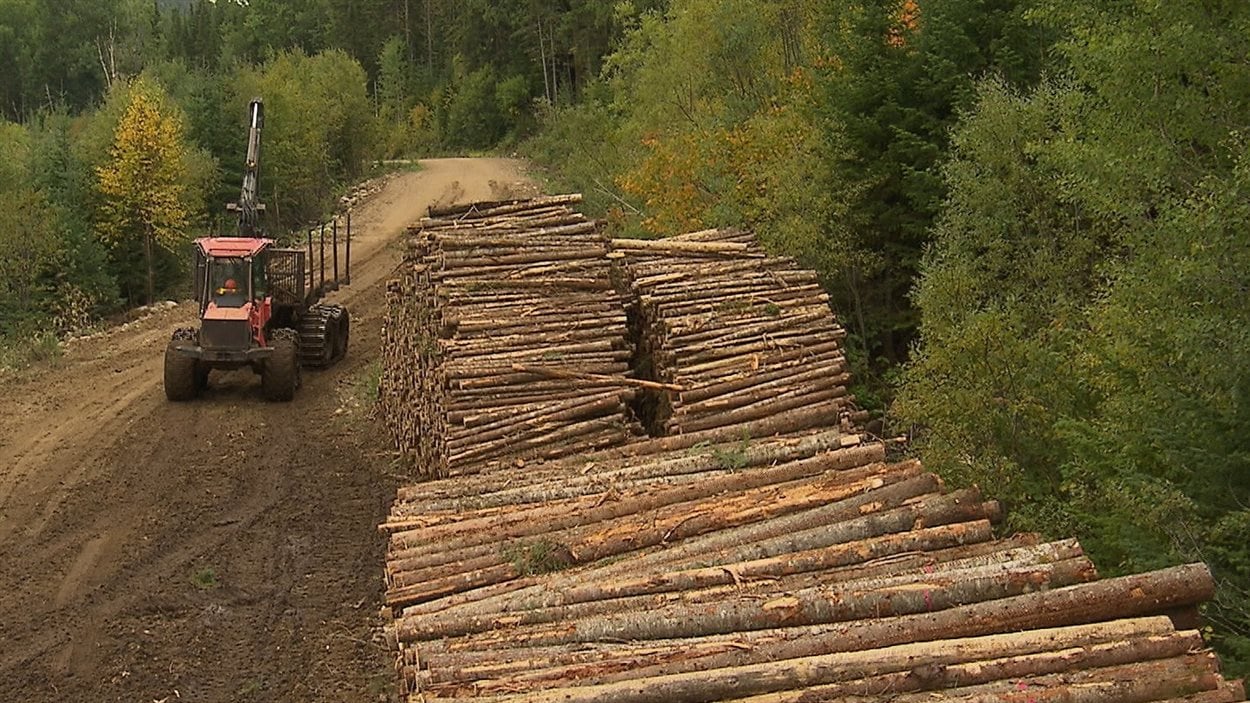 Le travail en forêt