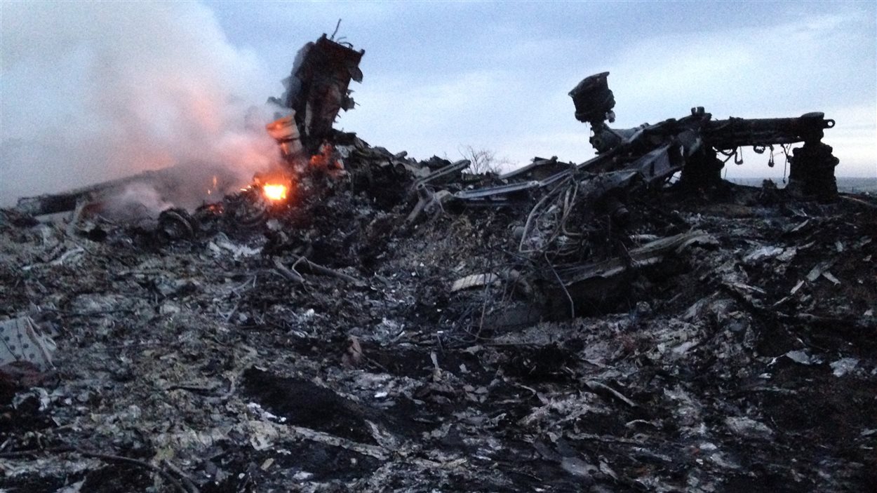Les débris de l'avion qui s'est écrasé près du village de Grapovo en Ukraine.