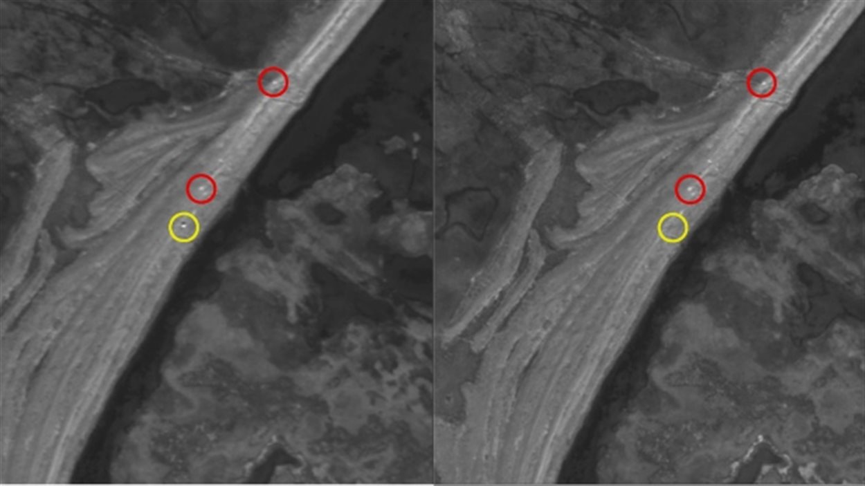 Les chercheurs ont comparé les images satellite prises lors de deux jours différents pour réussir à bien identifier les ours.
