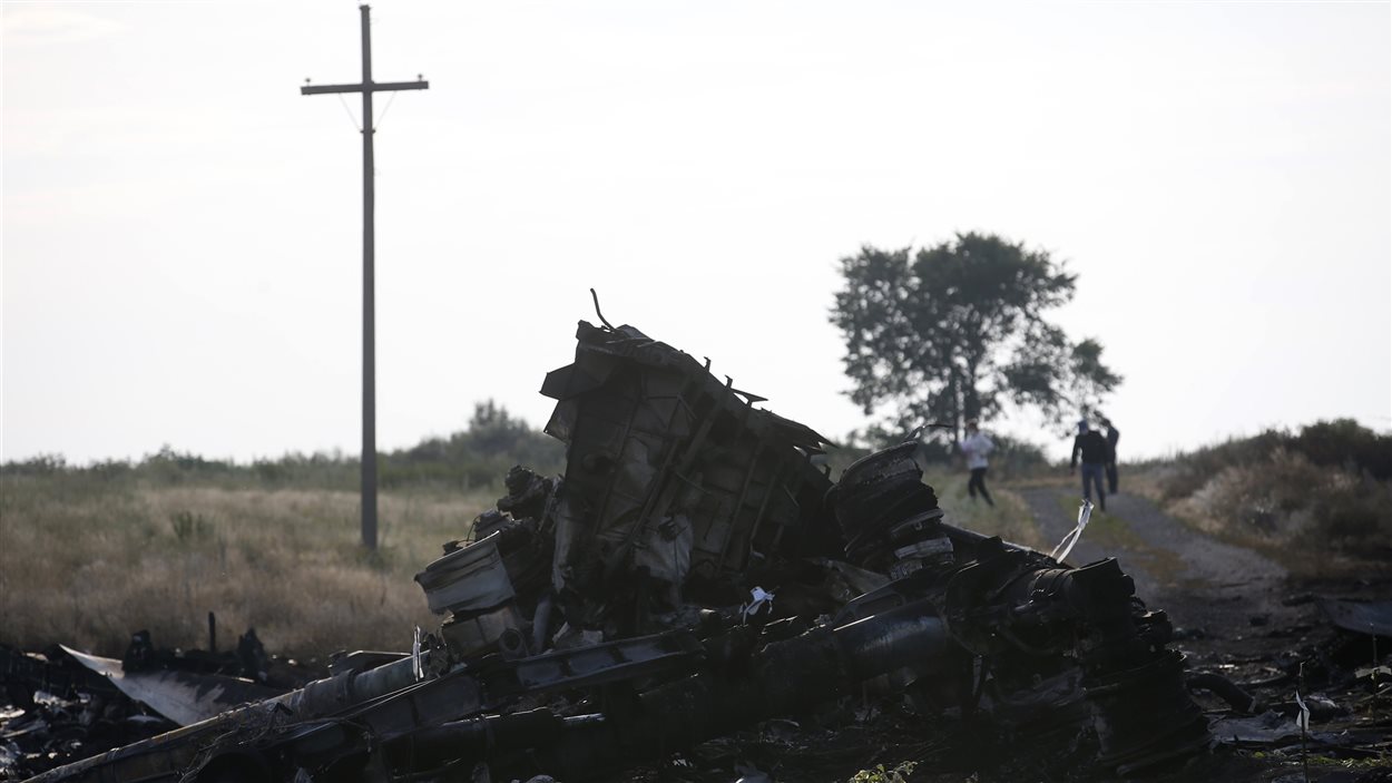 Site de l'écrasement du vol MH17, en Ukraine