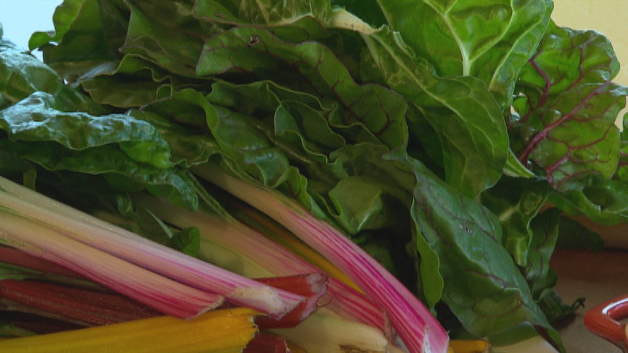 Bettes à carde farcie à l’agneau | Un marché dans ma cour | Radio-Canada.ca