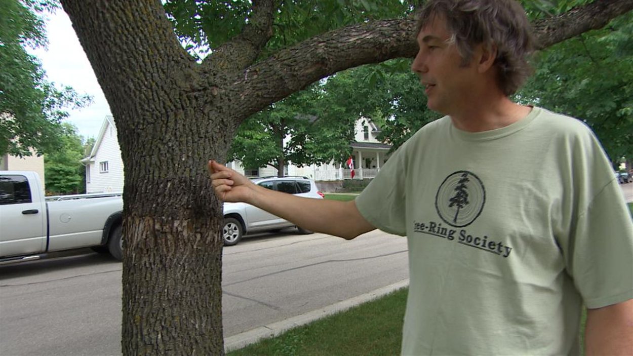 Jacques Tardif, professeur en écologie forestière à l'Université de Winnipeg.