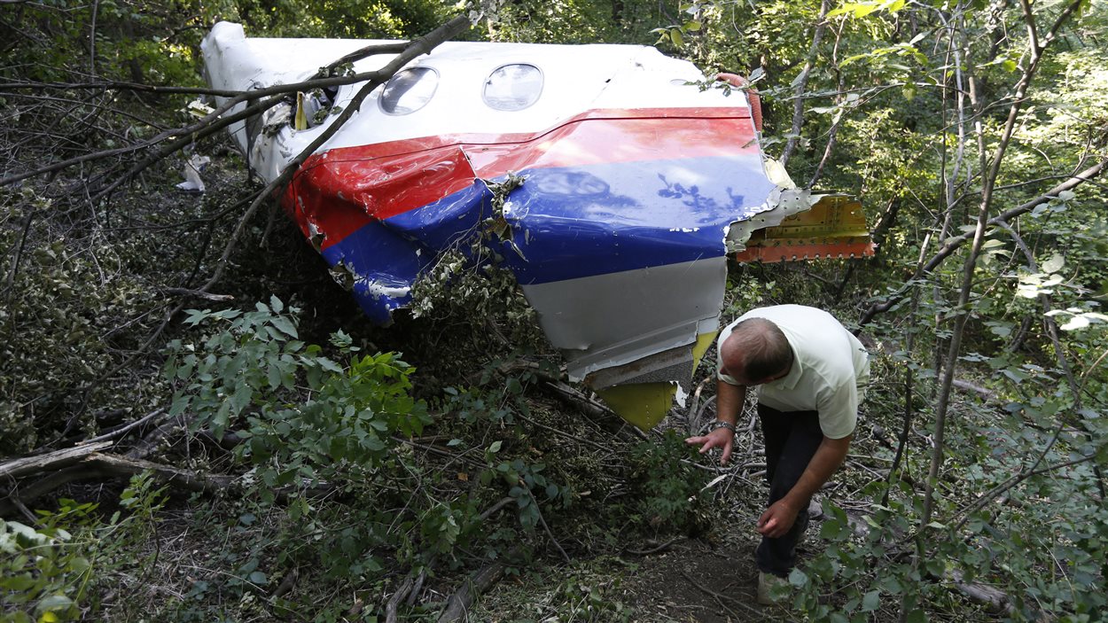 Un homme observe une partie de la carcasse du vol MH17 près du village de Hrabove, en Ukraine