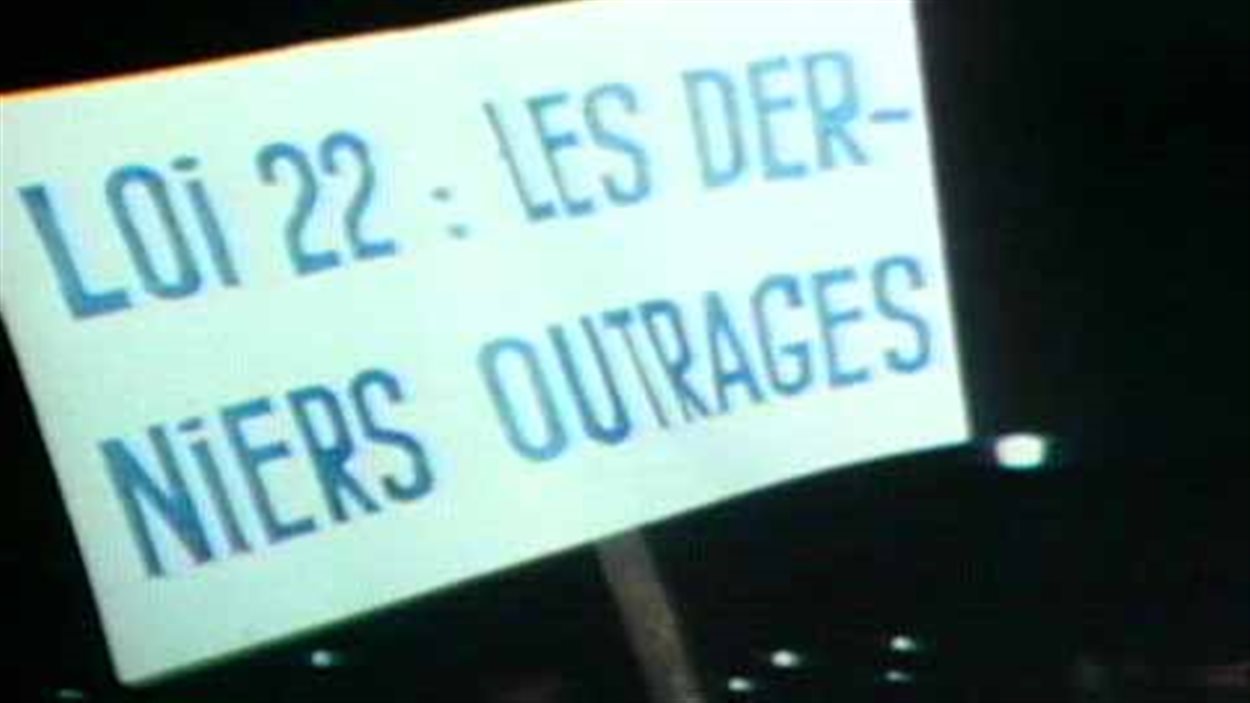 Adoptée le 30 juillet 1974, la Loi sur la langue officielle, aussi appelée loi 22, remplace la contestée Loi pour promouvoir la langue française au Québec de 1969.
