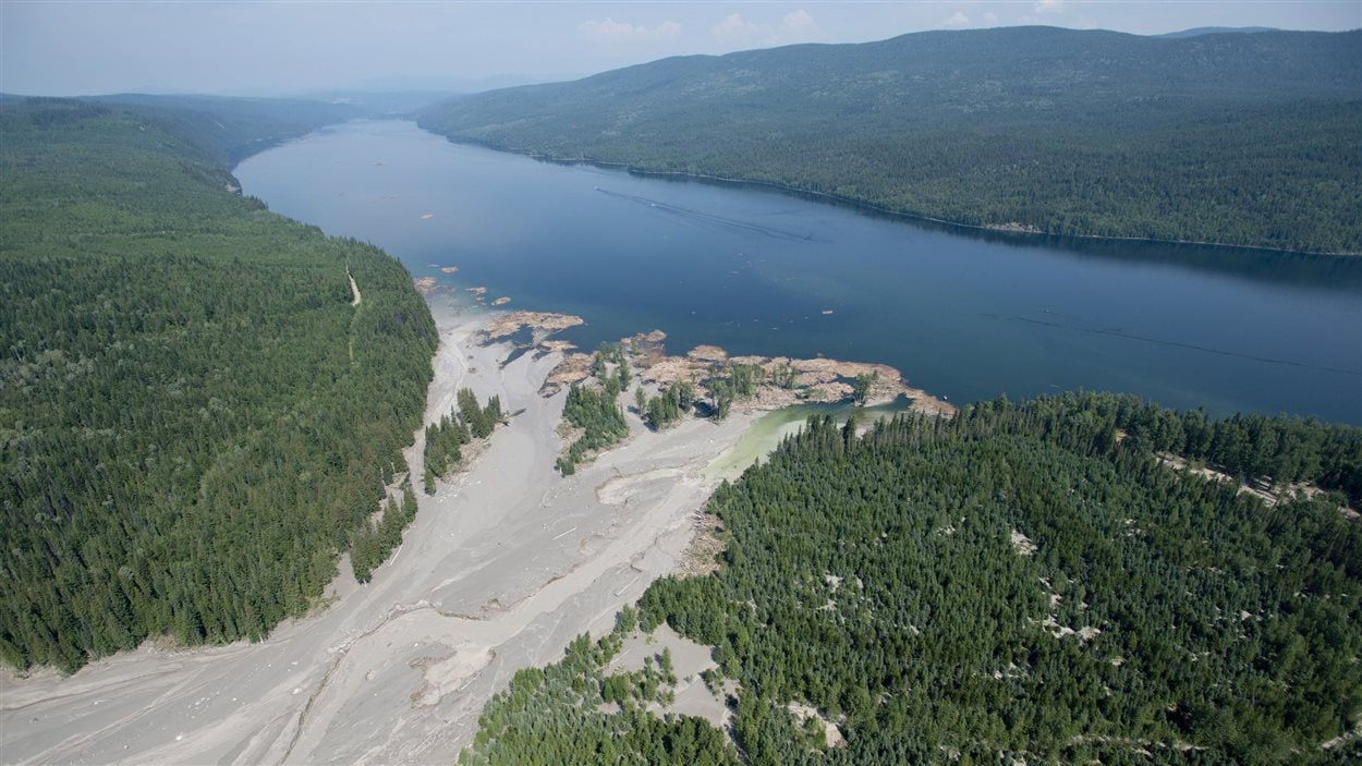 Les débris entraînés par 10 millions de mètres cubes d'eaux usées de la mine du mont Polley là où le ruisseau Hazeltine se jette dans le lac Quesnel.