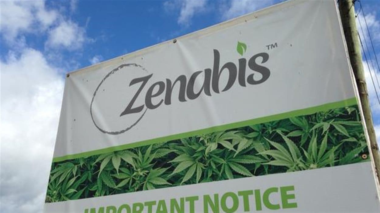 L'entreprise Zenabis, à Atholville au Nouveau-Brunswick