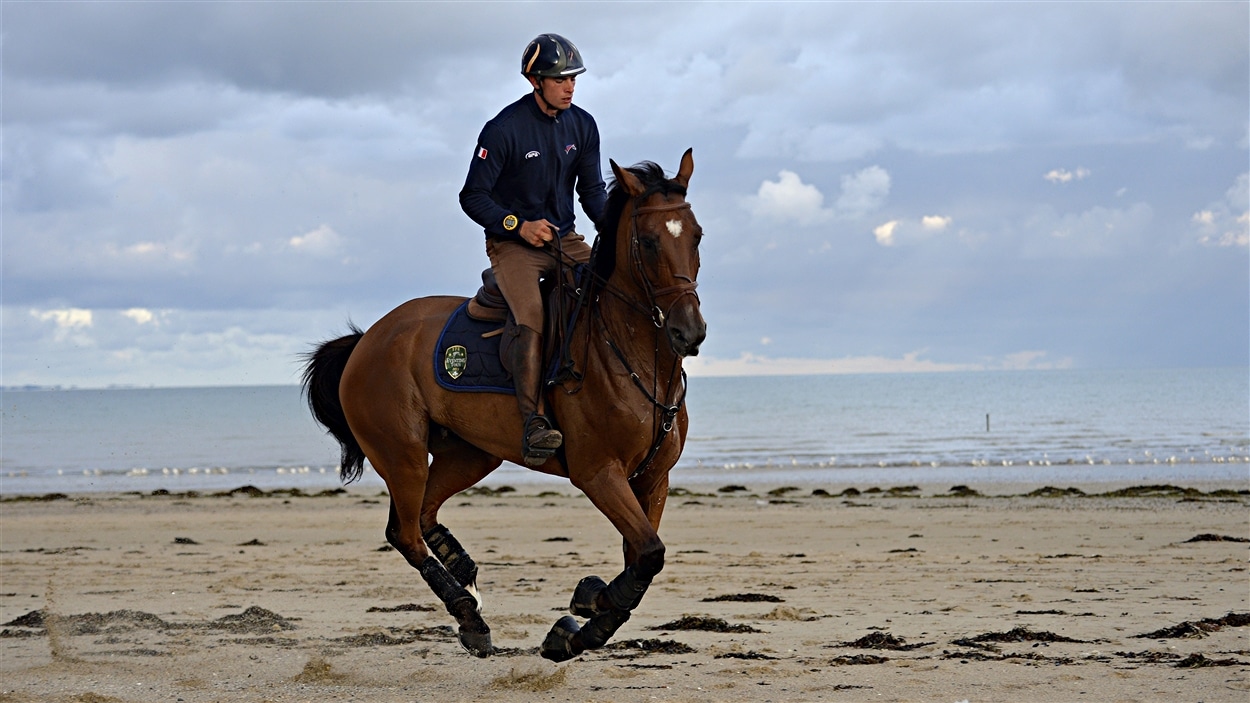 Le cheval Qalao des mers à l'entraînement