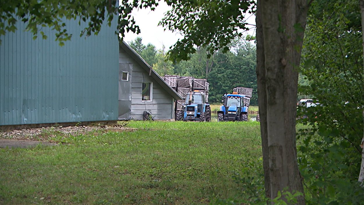 Tracteurs sur une ferme