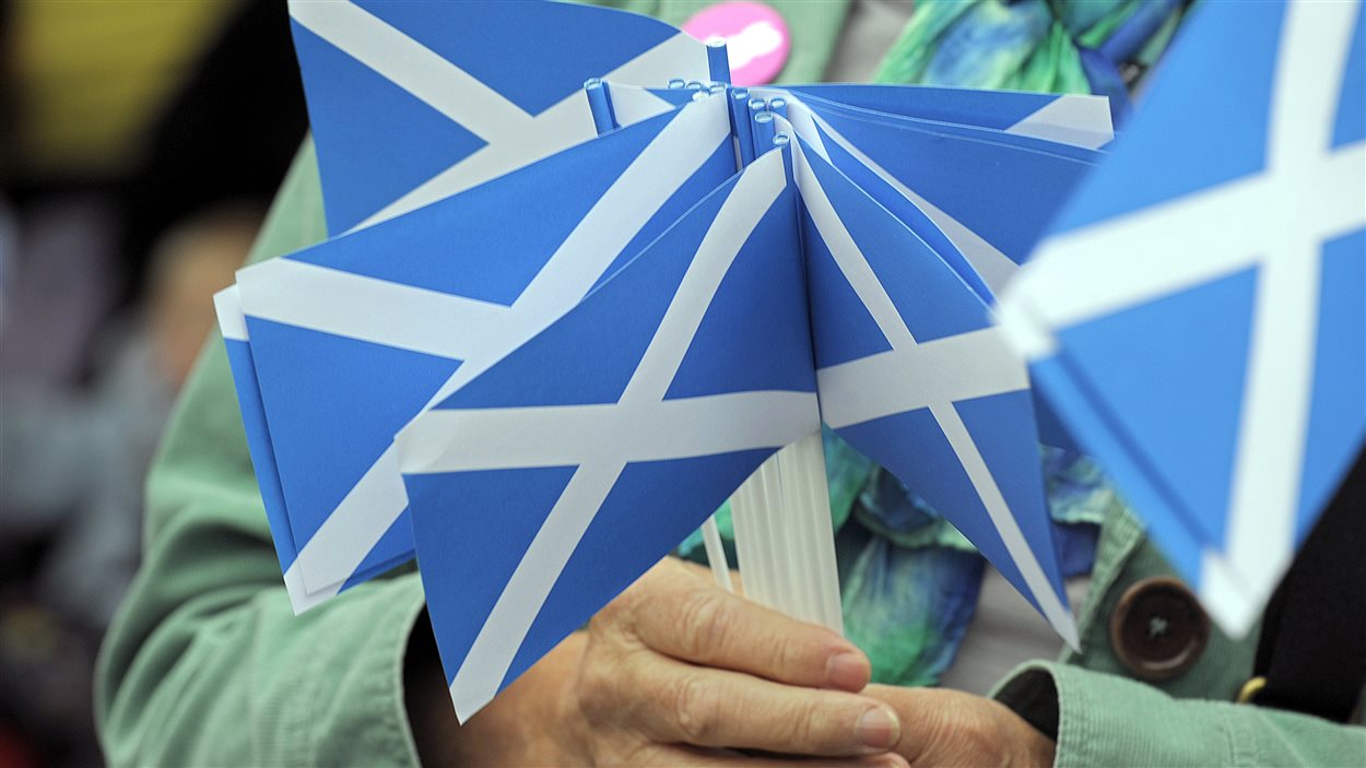 Militant indépendantiste présentant de petits drapeaux écossais.