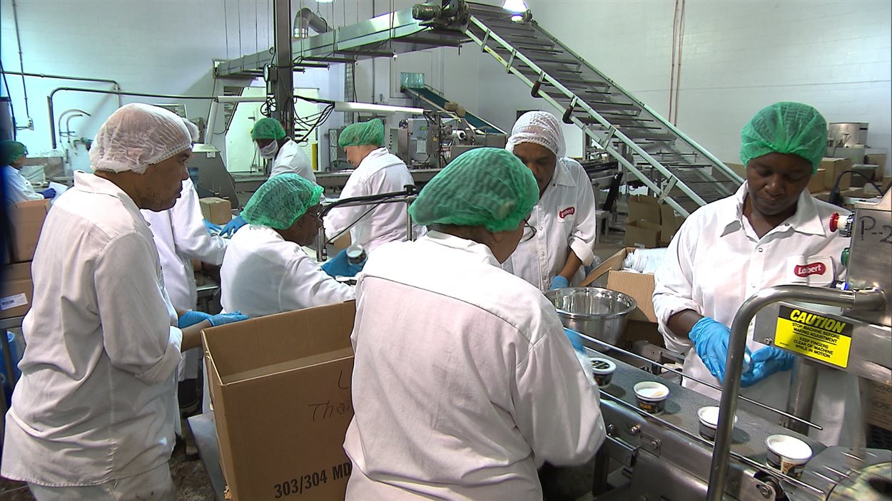 Les produits Solo Fruit ont cumulé les prix et les honneurs et se trouvent maintenant dans les épiceries canadiennes, aux États-Unis et en Arabie Saoudite.