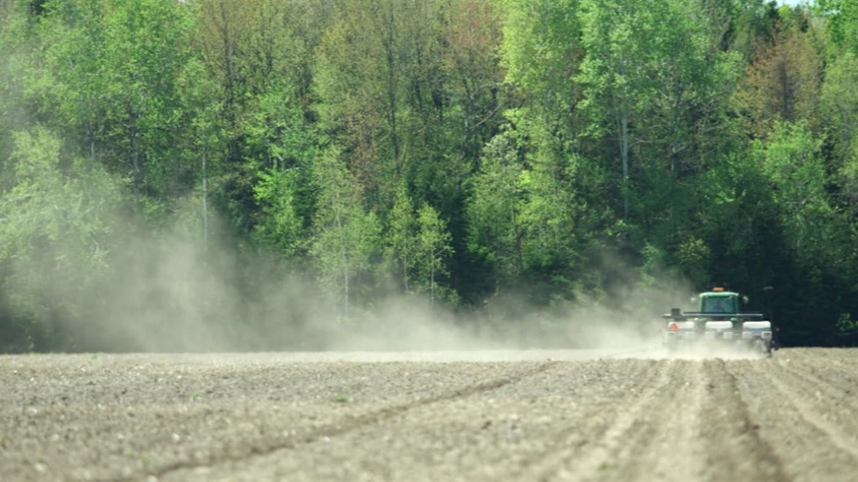 Épandage d'insecticide dans un champ