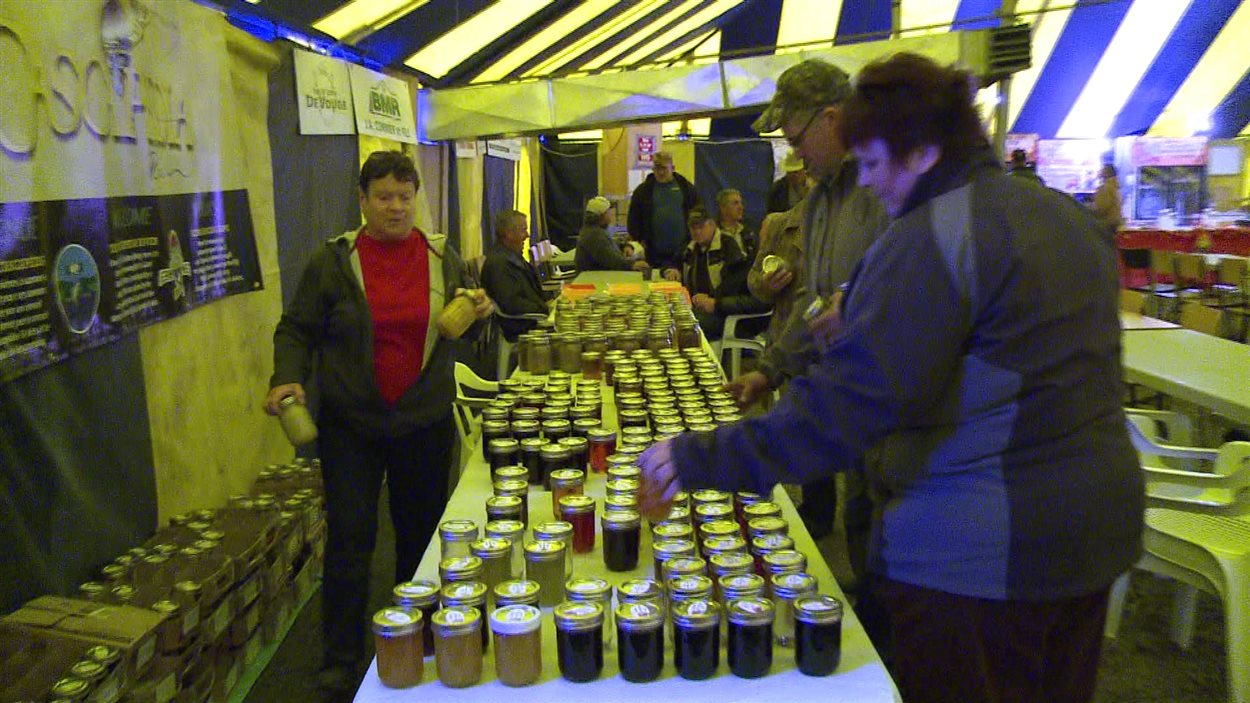 14e Festival d'automne à CascapédiaSaintJules RadioCanada